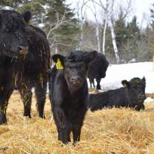 Klasse Woods Natural Farm | Box 137, Austin, MB R0H 0C0, Canada