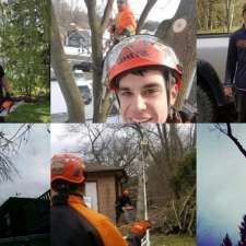 Family Tree Arborists | 693, Talmill Towers, 304 Talbot St, London, ON N6A 2T7, Canada