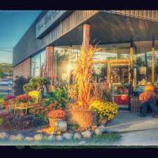 The New You Salon | 127 Argyle St S, Caledonia, ON N3W 1J1, Canada