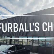 Furball's Choice | 300 Bell Blvd, Belleville, ON K8P 5H7, Canada
