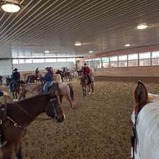 Eagle Hill Equine | RR#2, Site 6, Box 9, Olds, AB T4H 1P3, Canada