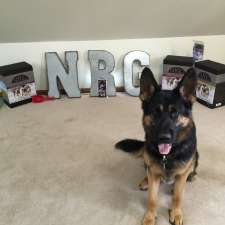 N-R-G Pet Products Ltd | 4781 Mcleery Rd, Armstrong, BC V0E 1B3, Canada