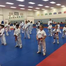 Master Chong's World Class Tae Kwon Do | 5921 Transit Rd, East Amherst, NY 14051, USA