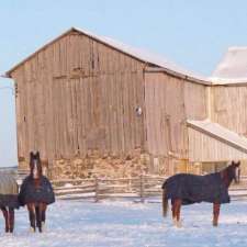 Antioch Hill Equine Retirement | 1955 Concession Rd 7, Sunderland, ON L0C 1H0, Canada