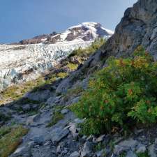 Coleman Glacier Lunch Bluff | Deming, WA 98244, USA