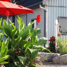 Urban Serenity Aesthetics & Hair | 942 Concession Rd 4, Fisherville, ON N0A 1G0, Canada