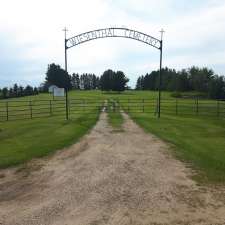 Wiesenthal Cemetary | 48420, Range Rd 252, Millet, AB T0C 1Z0, Canada