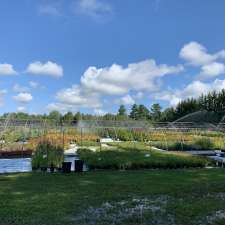 Lorne Park Nurseries Ltd | 149 Peters Rd, Colborne, ON K0K 1S0, Canada