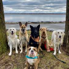 Dog Care Kingston | 1070 Hard Maple Ln, Perth Road, ON K0H 2L0, Canada