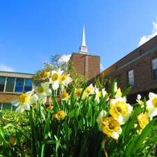 Springville First United Methodist Church | 474 E Main St, Springville, NY 14141, USA