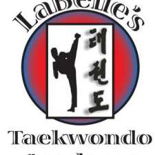 LaBelle Taekwondo | 45 De La Digue Ave, Winnipeg, MB R3V 1M7, Canada