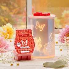 Scentsy with Cassandra Weinberger | 221 Somerside Close SW, Calgary, AB T2Y 4B6, Canada