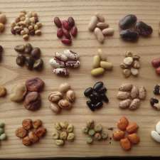 Carrick Seeds | 269 Field Rd, Mildmay, ON N0G 2J0, Canada