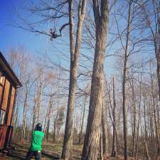 Superior Tree Service | 310 Gifford Dr, Ennismore, ON K0L 1T0, Canada