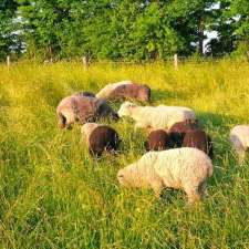 Persephone Market Garden | Allenford, ON N0H 1A0, Canada