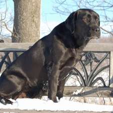 Foothills Veterinary Services | Regional Rd 25, Acton, ON L7J 2L9, Canada