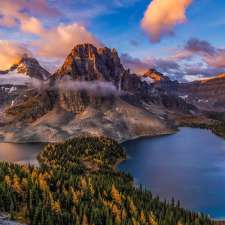 JY Gallery & Cafe | 160 Kananaskis Way, Canmore, AB T1W 3E2, Canada
