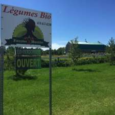 La Ferme Du Forestier-Maraîcher | 631 Rang St Louis, Dolbeau-Mistassini, QC G8L 5H6, Canada