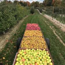Lincoln Line Orchards | 9764 RR 20, Smithville, ON L0R 2A0, Canada