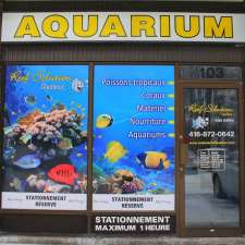 Reef Solution Quebec | 75 Boulevard Bastien, Wendake, QC G0A 4V0, Canada