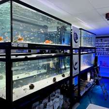 Poseidon Specialised Pet Store | 787 Boul. Louis-XIV, Québec, QC G1H 1A3, Canada