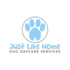 Just Like Home- Dog Daycare Services | 12 Raglan St, Beachville, ON N0J 1A0, Canada