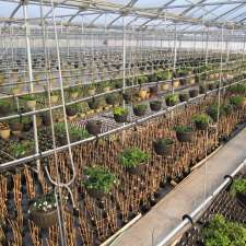 Plants Plus Greenhouse & Nursery | 702 Edith Ave, Petersfield, MB R0C 2L0, Canada