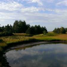 Abbecombec Marshes | Clam Bay, NS B0J 1Y0, Canada