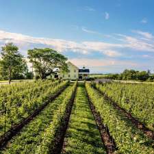 Mercator Vineyards | 88 Dyke Rd, Wolfville, NS B4P 2R1, Canada