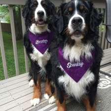 Berners and Scents | 21 McQuade Dr, Trenton, ON K8V 2G2, Canada