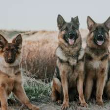 Fire River German Shepherds | Route 116 Upper, Rexton, NB E4W 3C5, Canada