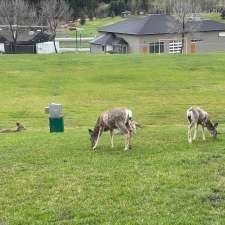 Logan Lake Elementary | 4 Galena Ave, Logan Lake, BC V0K 1W0, Canada