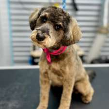 Cutie Patootie Grooming | 143 Borden Ave unit 10, Belmont, ON N0L 1B0, Canada