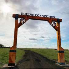 Equine Connection - The Academy of Equine Assisted Learning | 264039a Township Rd 224, Carseland, AB T0J 0M0, Canada