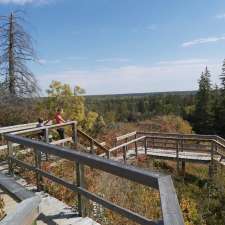 Spruce Woods Provincial Park | Carberry, MB R0K 0H0, Canada
