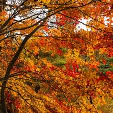 Happy Maple Nursery | 19 Parmalea Crescent, Nepean, ON K2E 7J1, Canada