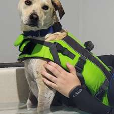 Top Dog: Canine Conditioning & Rehabilitation | 16727 Willy Allan Rd, Lunenburg, ON K0C 1R0, Canada