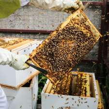 Eastern Slopes Honey | 192 St W, Priddis, AB T0L 1W0, Canada