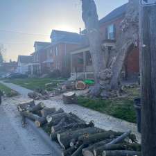 Aftermath Tree Care North Durham | 8795 Baldwin St N, Whitby, ON L0B 1A0, Canada