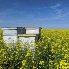 Bartel Honey Farms Inc | 33004 Rd 27 E, Kleefeld, MB R0A 0V0, Canada