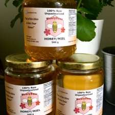 Wooly Bees Honey | 267 Concession 12 E, Formosa, ON N0G 1W0, Canada