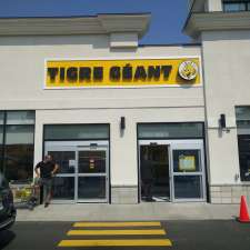 Tigre Géant | 7777 Boulevard Guillaume-Couture, Lévis, QC G6V 6Z1, Canada