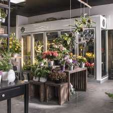 Fleuriste H W Mc Kenna | 3440 Chem. des Quatre-Bourgeois, Québec, QC G1W 4T3, Canada