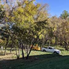 Cypress Tree & Lawn Care | 1024 2 St E, Prince Albert, SK S6V 0G7, Canada