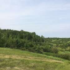 Développement Rivière Mistassibi | 855 Rang St Jean #803, Dolbeau-Mistassini, QC G8L 3R2, Canada