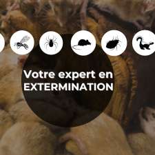 Extermination Hors Pair Inc. | 371 Rue Ostiguy, Lavaltrie, QC J5T 2N2, Canada