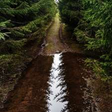 Joany's Woods | Unnamed Road, Lambton Shores, ON N0M 2N0, Canada