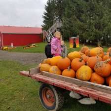 Sweet Peas Pumpkin fest and Mudbog | RR# 2 # 2Y9, 333329 7 Line, Laurel, ON L0N 1L0, Canada