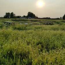 Amherstburg Bunny Meadow | 5530 Alma St, Amherstburg, ON N9V 0C8, Canada