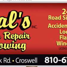 Sal's Auto Repair & 24 HR. Towing | 5346 Peck Rd #1, Croswell, MI 48422, USA